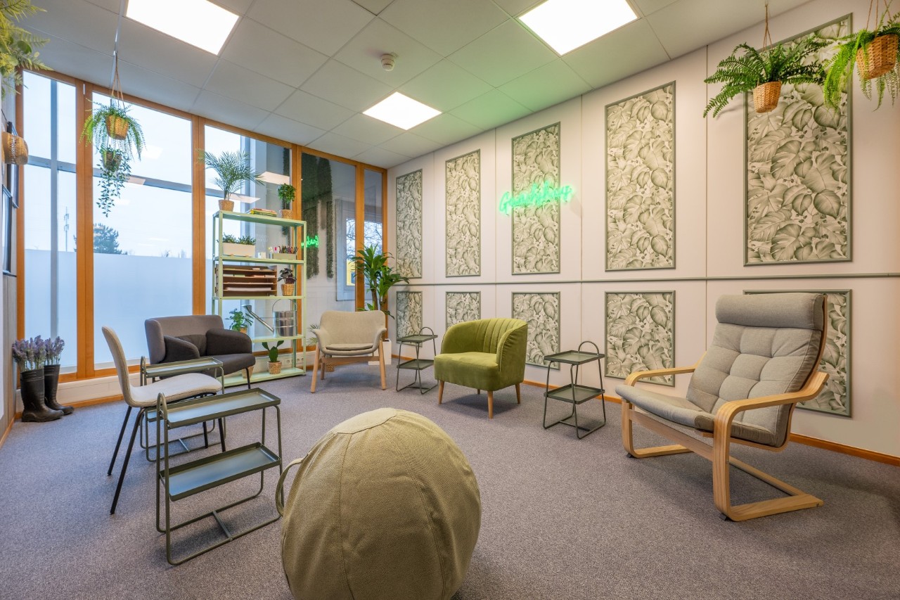 Einige bequem wirkende Stühle in einem grün gehaltenen Raum.