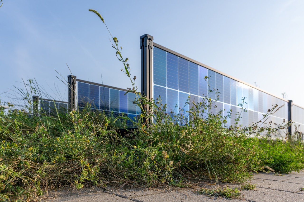 Photovoltaikanlage