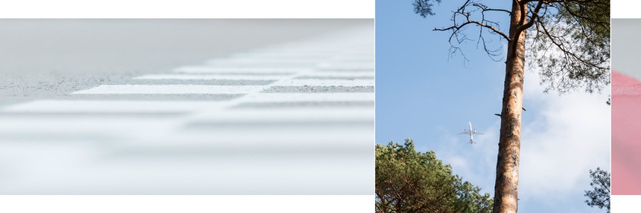 Der Betrachter blickt aus der Froschperspektive an Baumwipfeln vorbei in den Himmel, an dem ein Flugzeug zu sehen ist.