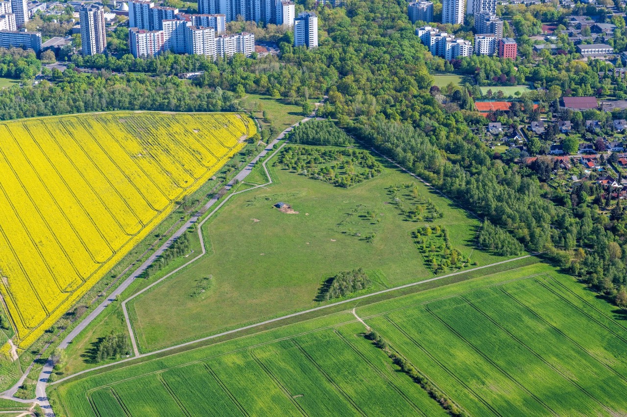 Luftbild, das den Rand einer Hochhaussiedlung und direkt daneben Felder, Wiesen und Bäume zeigt