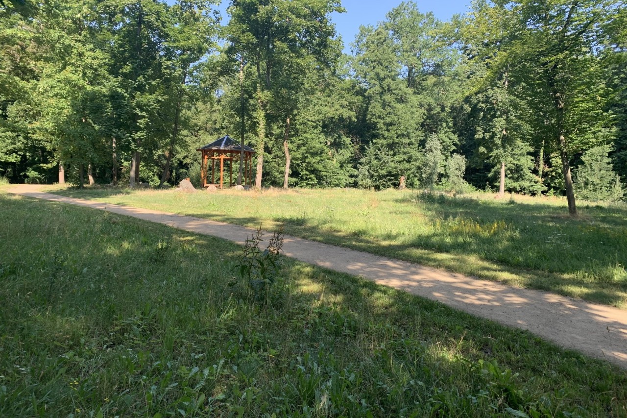 Ein geschotterter Laufweg führt über eine Wiese in einem Park.