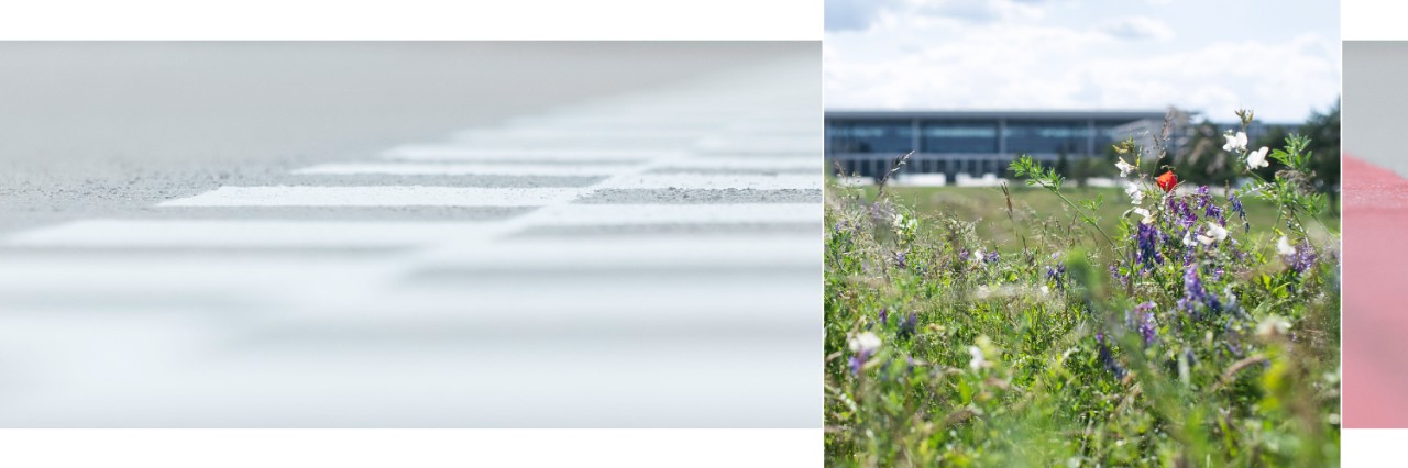 Wiese vor Terminal 1