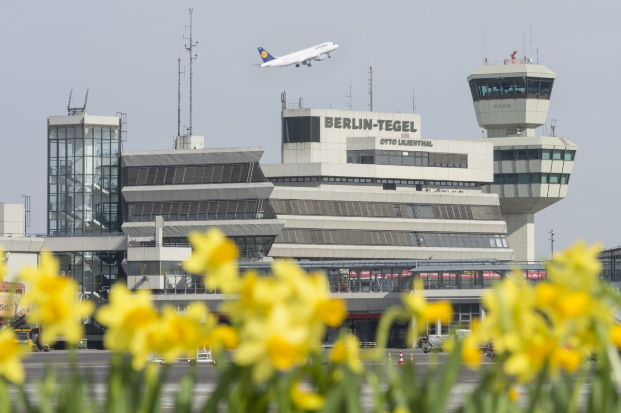Blick auf das Terminal 1. Im Hintergrund startet ein Flugzeug. Im Vordergrund Frühblüher.