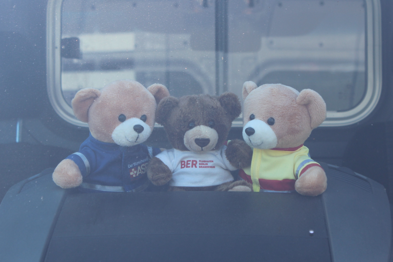 Drei kleine Teddybären sitzen in einem Auto und sind nur durch die Scheibe zu sehen.
