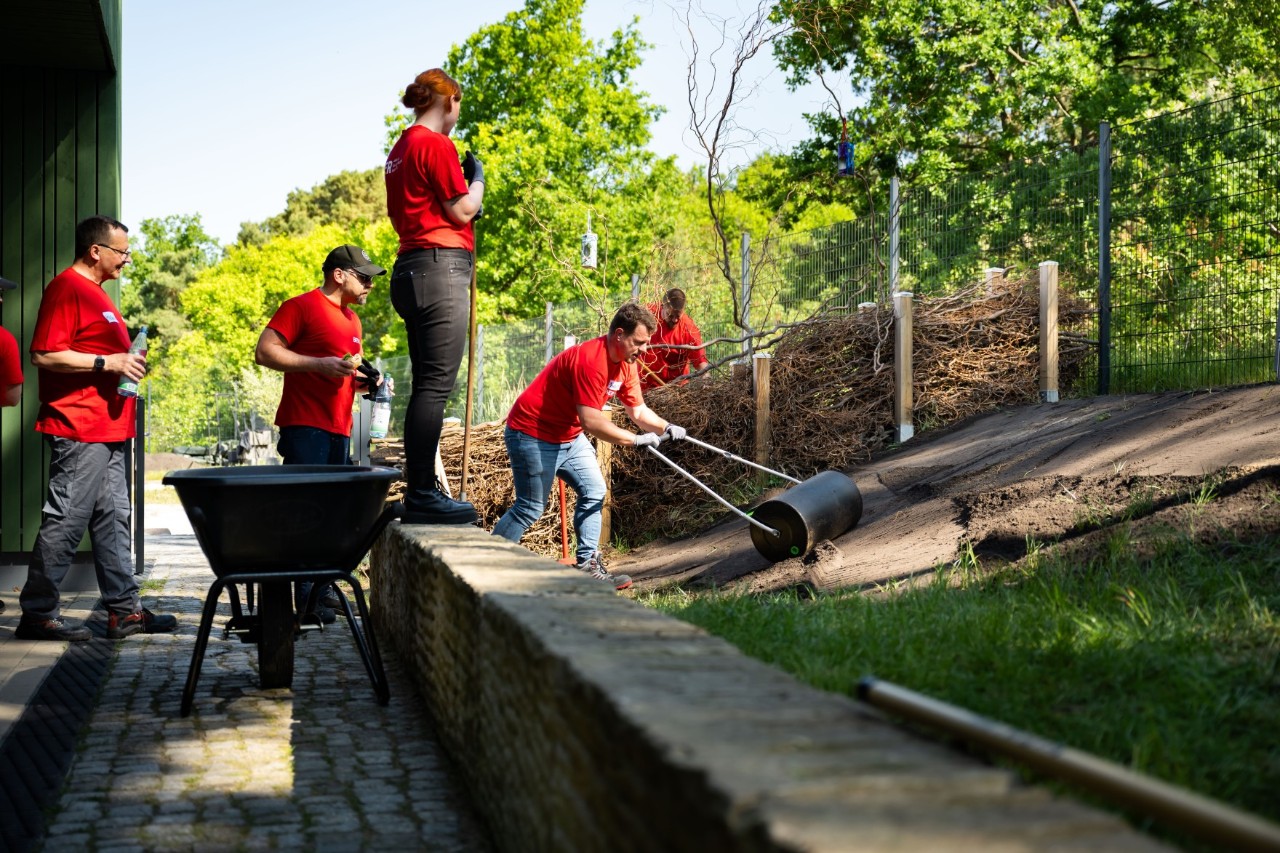 Mehrere Personen arbeiten mit Gartengeräten.