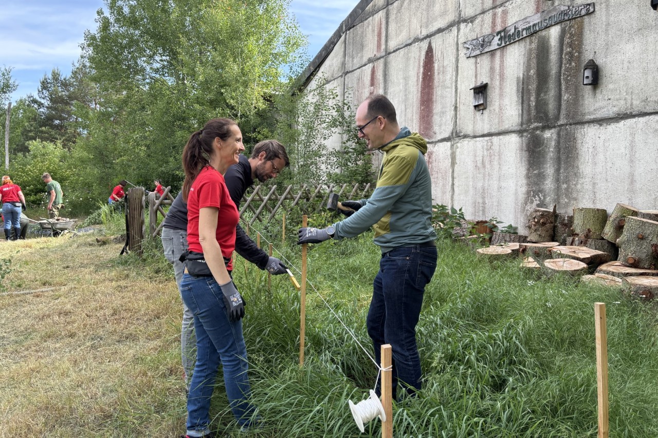 Menschen im Grünen bei der Gartenarbeit