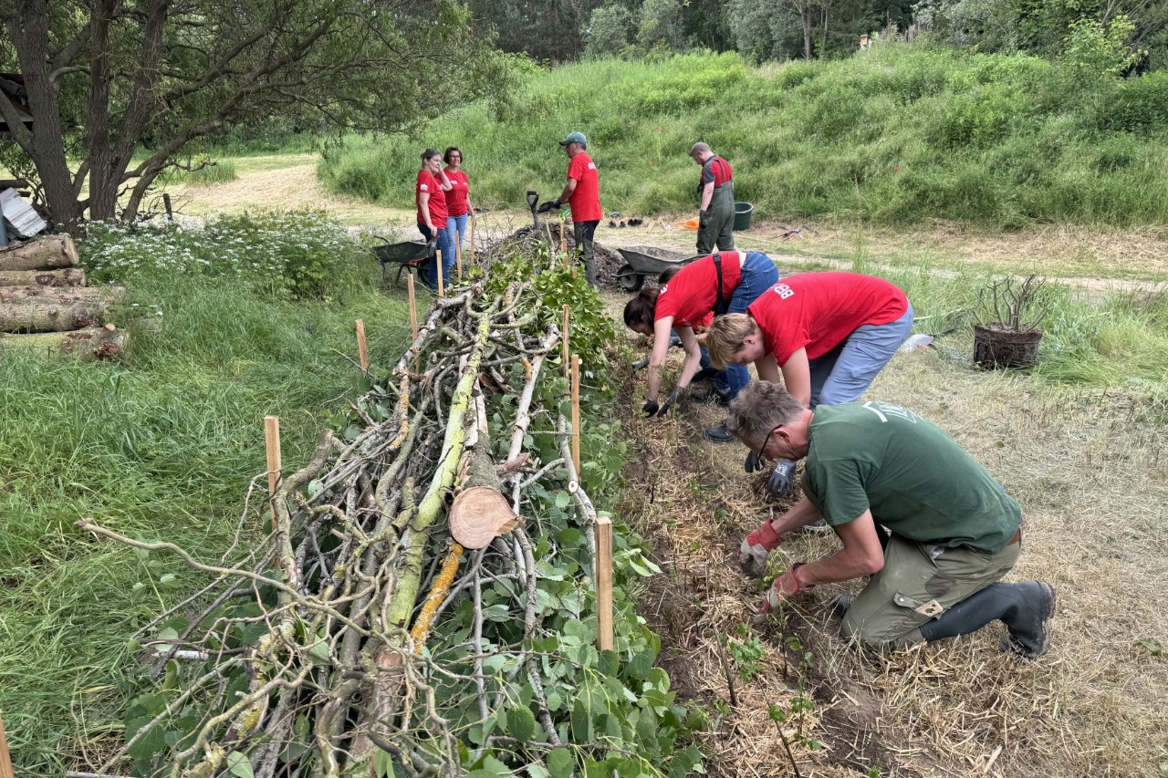 Menschen im Grünen bei der Gartenarbeit