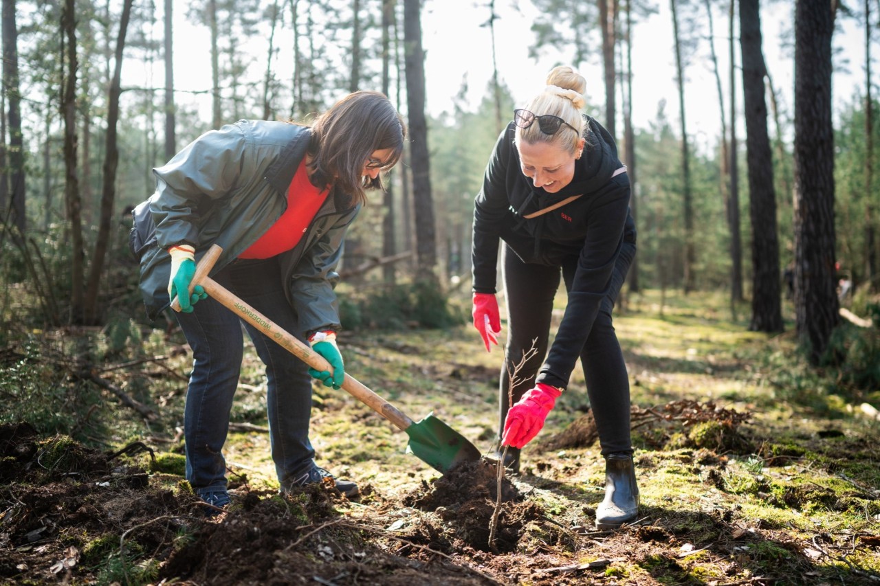Two women plant a tree together.