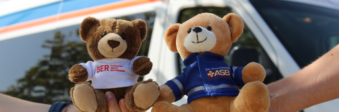 Two teddy bears are held by two different hands.