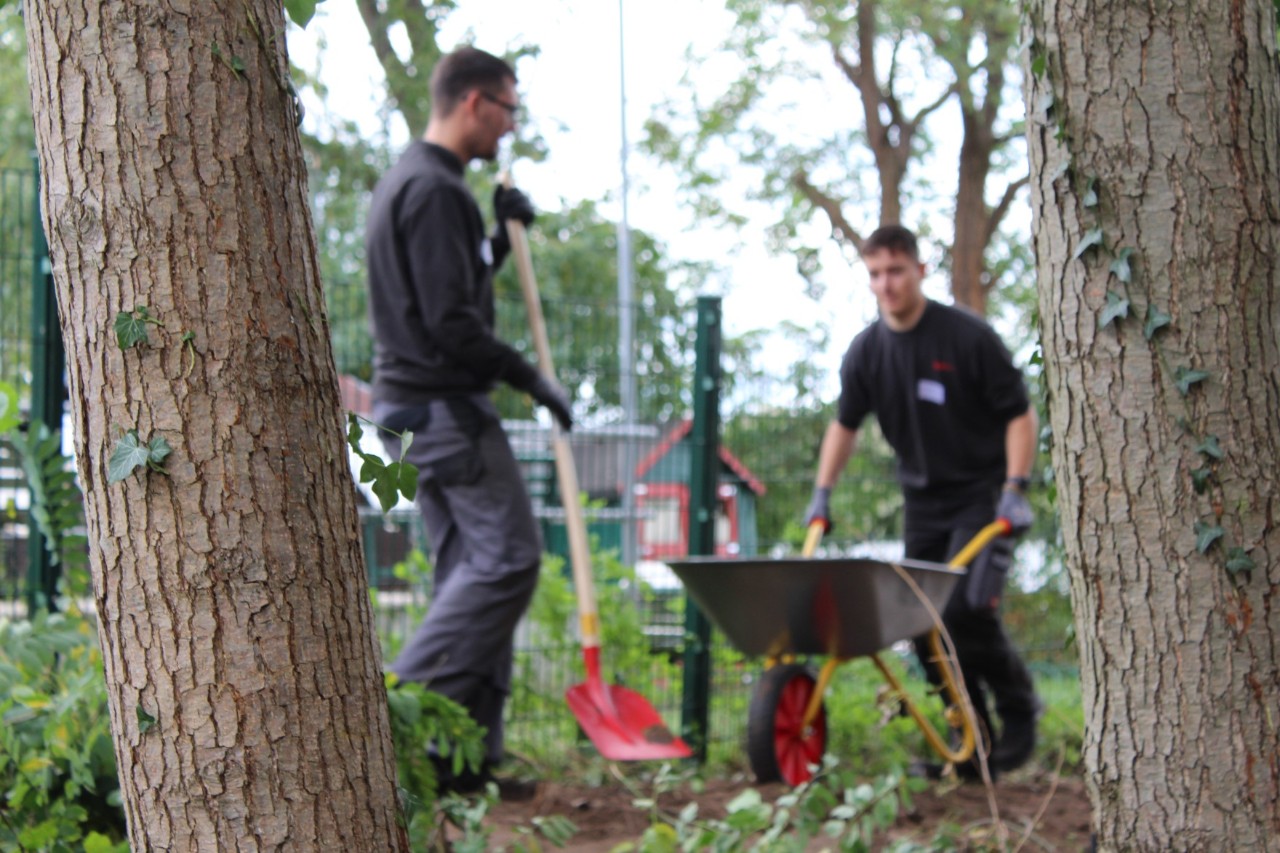 In the foreground, two trees; in the background, two young men working with gardening tools, somewhat out of focus.