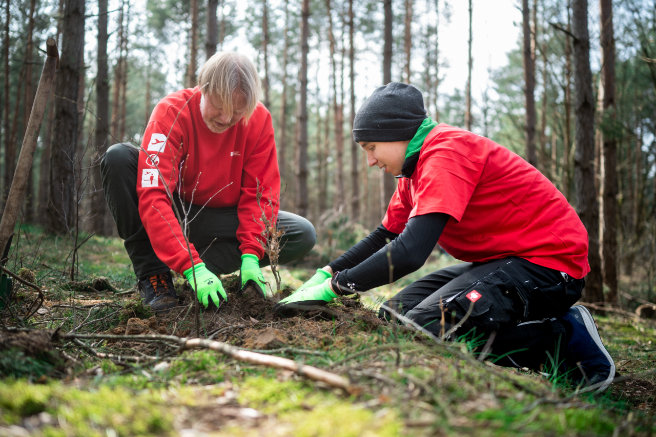 Two people working with plants in the forest