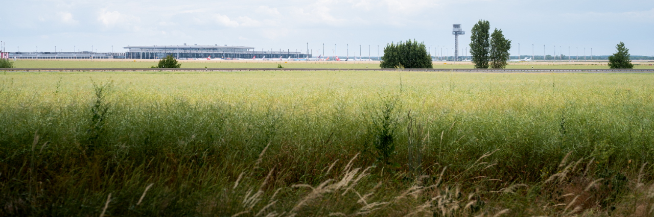 BER in the distance