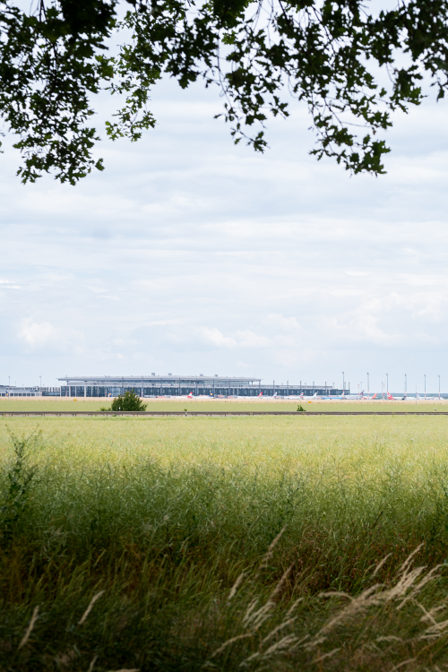 BER in the distance