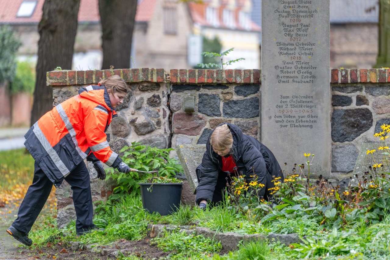 Two people clean a grave site.