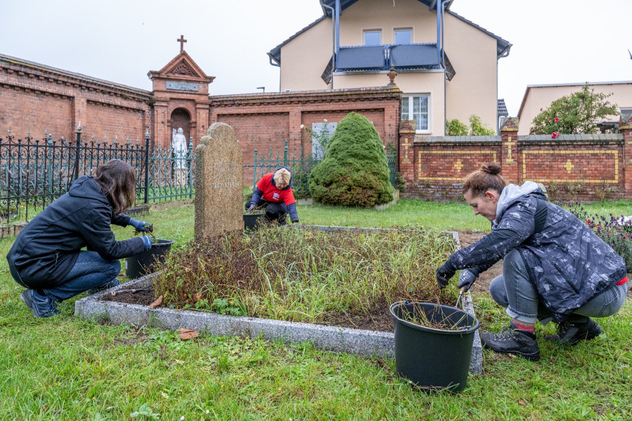Three people maintain a grave site.