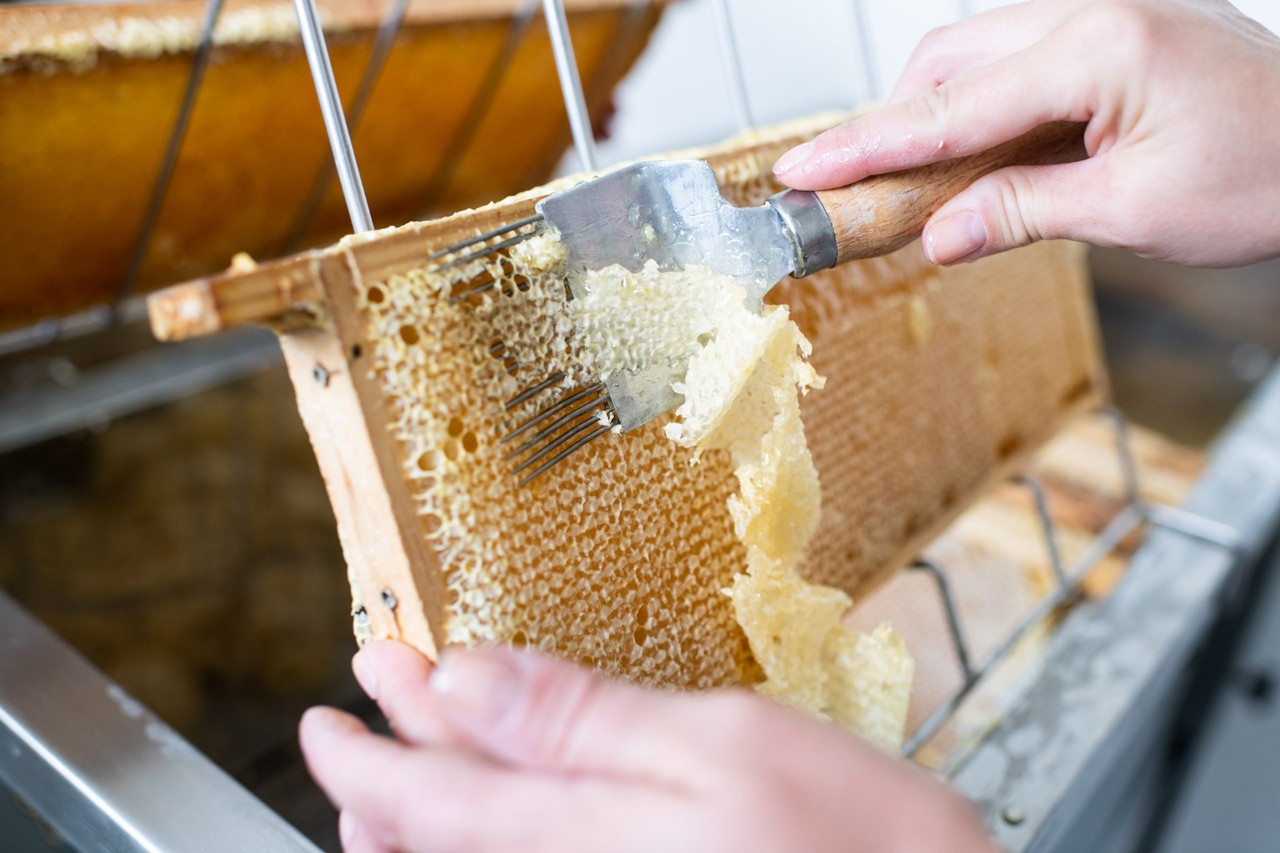 Two hands holding a wooden board with honeycombs and a spatula