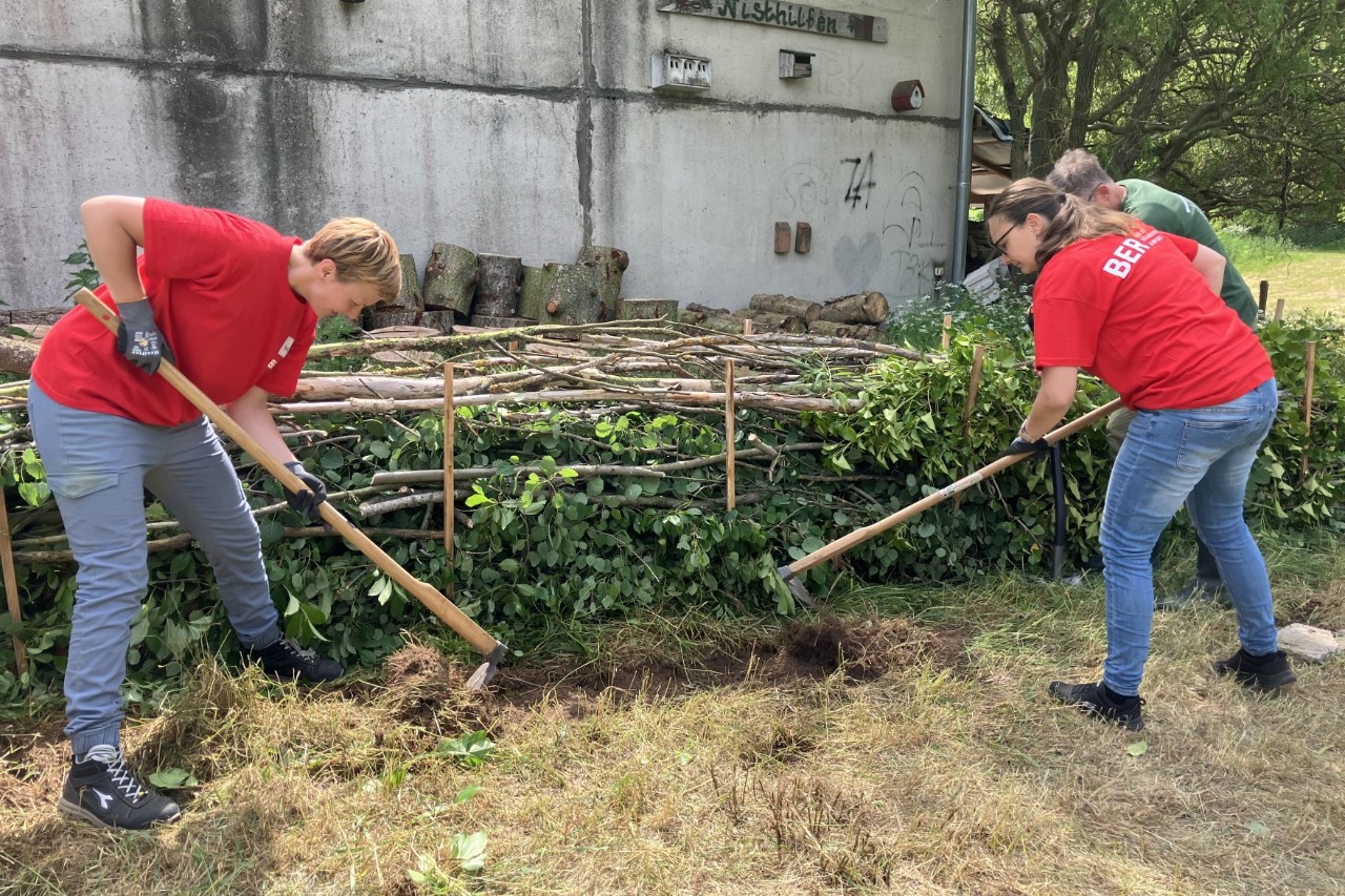 People gardening in the outdoors