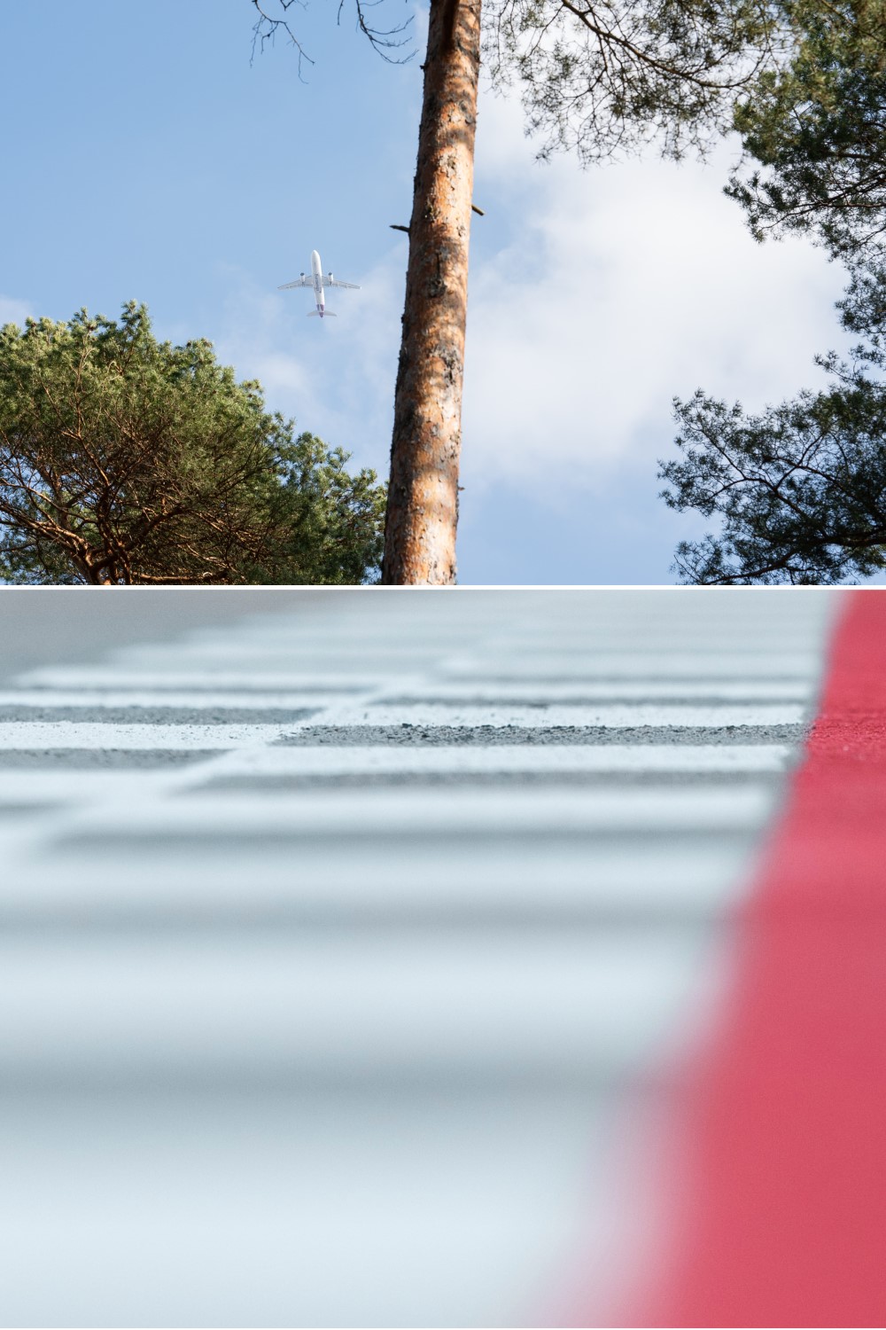 The viewer looks up from a worm's eye view past the treetops to the sky, where an aeroplane can be seen.